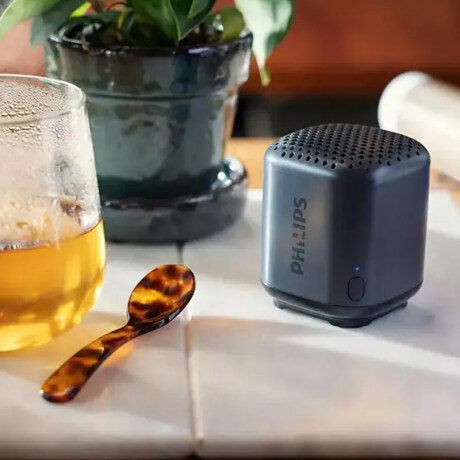 Parlante Bluetooth Philips Resistente Al Agua Parlante Bluetooth Philips Resistente Al Agua