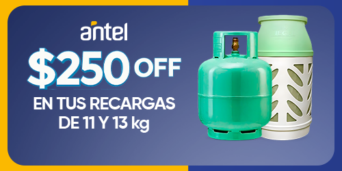 Home Cuarto 2 - Antel $250