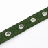 Collar Ajustable Reforzado Hebilla Nylon Perro Gato Mediano Variante Color Verde