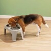 Comedero para mascota Rimax Medium Comedero para mascota Rimax Medium