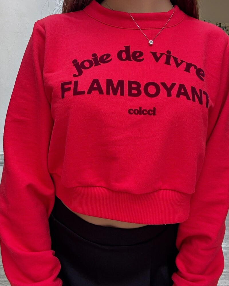 MOLETON Rojo
