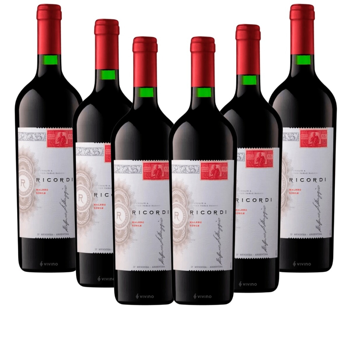 Caja 6 Ricordi Malbec Roble 2024 Mendoza 
