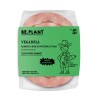 Vegadela 150grs Vegadela 150grs