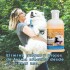 SHAMPOO GUARDIAN PET PARA PERROS Y GATOS PULGUICIDA Y PIOJICIDA 200 ML SHAMPOO GUARDIAN PET PARA PERROS Y GATOS PULGUICIDA Y PIOJICIDA 200 ML