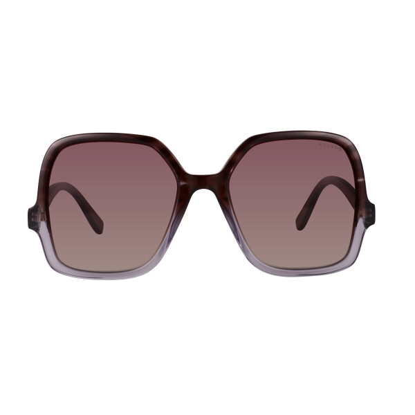Azzaro 32094 col 3 Polarized Azzaro 32094 Col 3 Polarized
