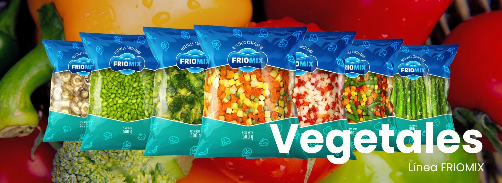 Comidas congeladas. Congelados Ártico. Rico. Práctico. Artico