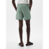 6 INCH SWIM SHORT GREEN STRIPE