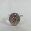 Anillo Conservatorio Anillo Conservatorio