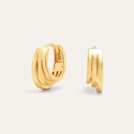 Aros Frambuesa - Plata y Baño de Oro Aros Frambuesa - Plata y Baño de Oro