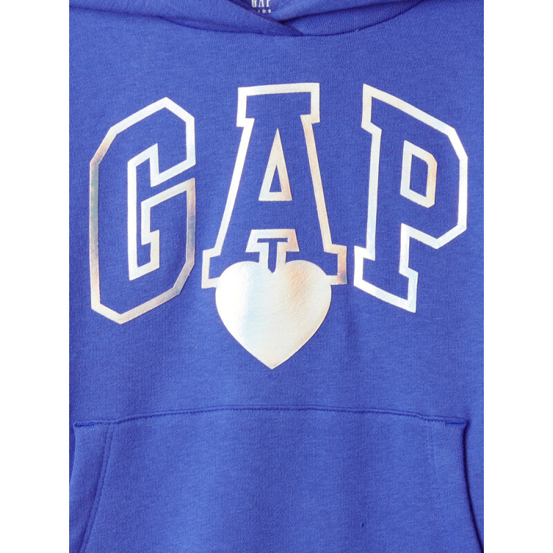 FA24 LOGO PO HOODIE MATISSE BLUE