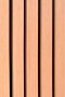 PANEL WPC RIPADO EXTERIOR PANEL RIPADO EXTERIOR WPC CO-EXTRUIDO JE23 MAPLE 2850X219X26MM