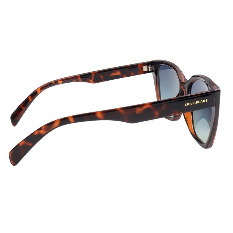 Lentes de Sol Chilli Beans Ámsterdam Marrón