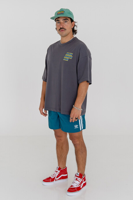 Remera Pulau People Gris