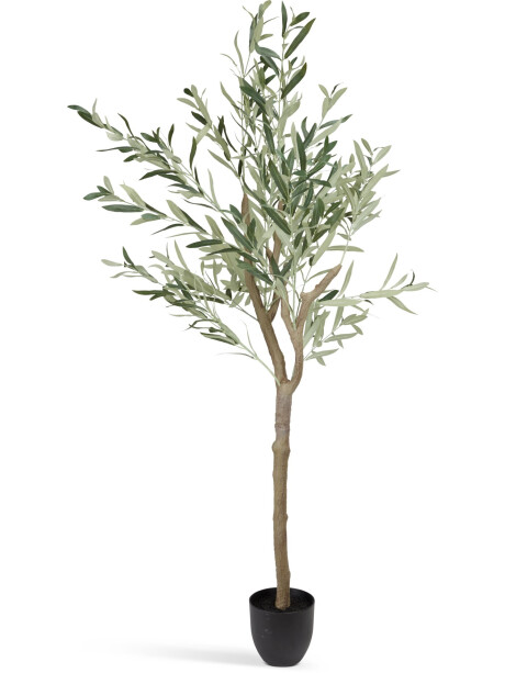 Planta artificial HAVHEST A160cm olivo Planta artificial HAVHEST A160cm olivo