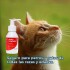 OTIFLEX LIMPIADOR DE OIDOS 100 ML OTIFLEX LIMPIADOR DE OIDOS 100 ML