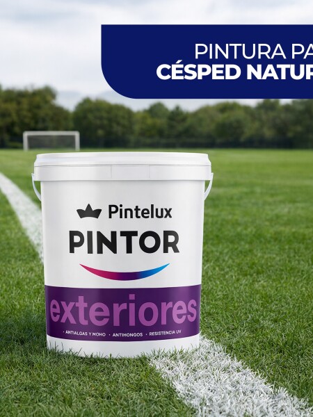 PINTURA PARA DEMARCACION DE CANCHAS BLANCO 18LTS N/A