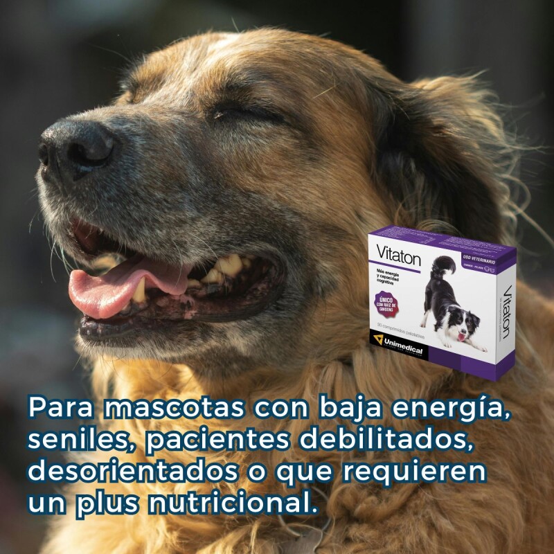 VITATON SUPLEMENTO ENERGIZANTE Y COGNITIVO X BLISTER DE 5 COMPRIMIDOS