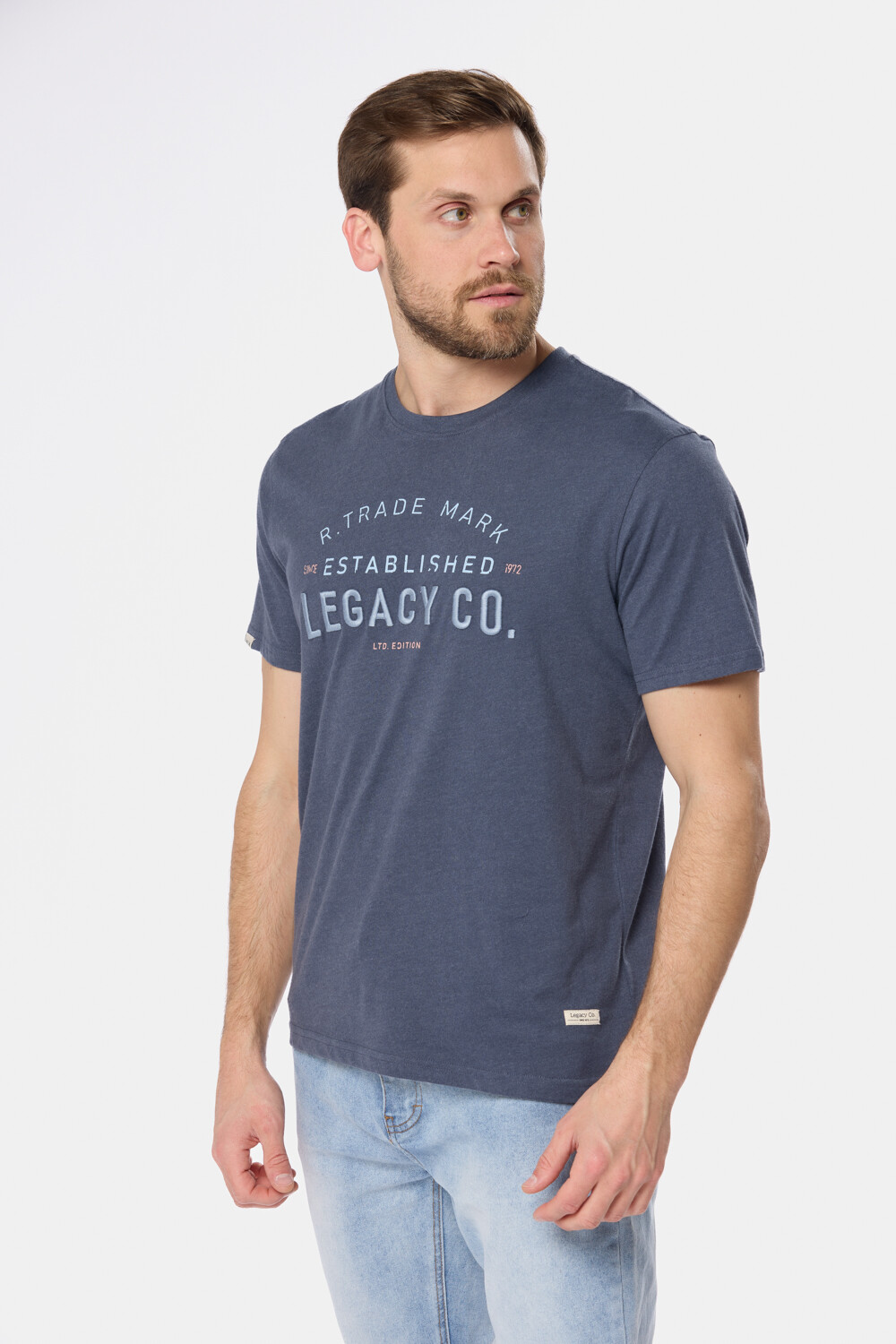 REMERA ESTAMPADA Azul