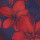 SHORT TORTOISE 8.0 HIBISCO ROJO