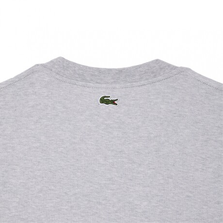 CAMISETA LACOSTE LOOSE FIT COTTON JERSEY PRINT GRIS