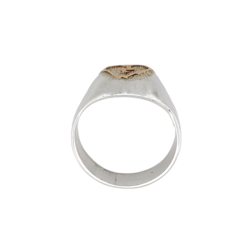 Anillo Profesión Ingeniero agrónomo-Plata y Oro-Sin Piedra-AP5009 Sinpiedra
