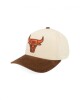 Gorro Mitchell & Ness Chicago Bulls Tawny Pro Crown Gorro Mitchell & Ness Chicago Bulls Tawny Pro Crown