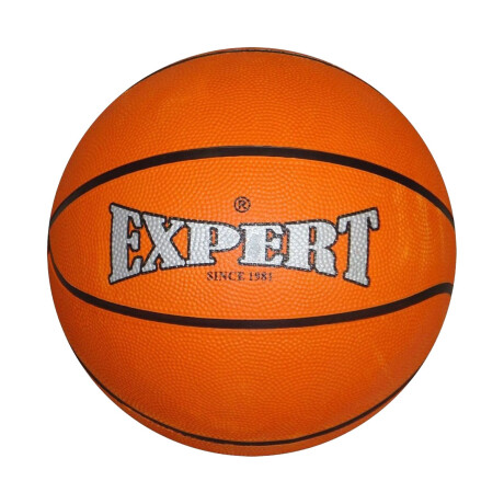 Tablero Basket C/ Base + Aro Metal + Pelota + Red Bkt001010