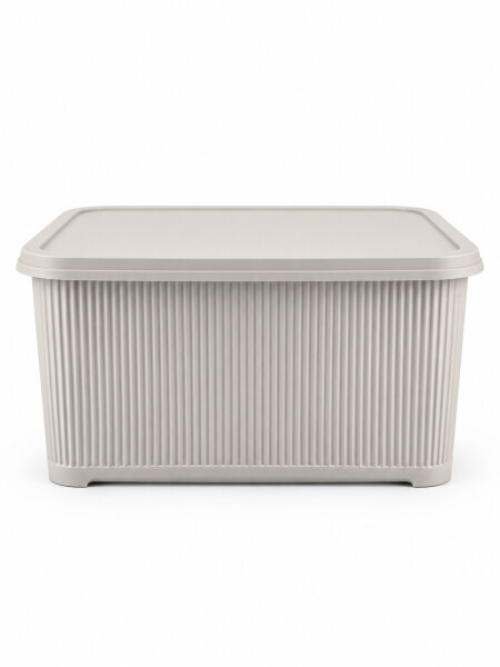 CAJA ORGANIZADORA C/ TAPA BEIGE