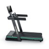 Caminador Profesional Athletic 4500T Gris