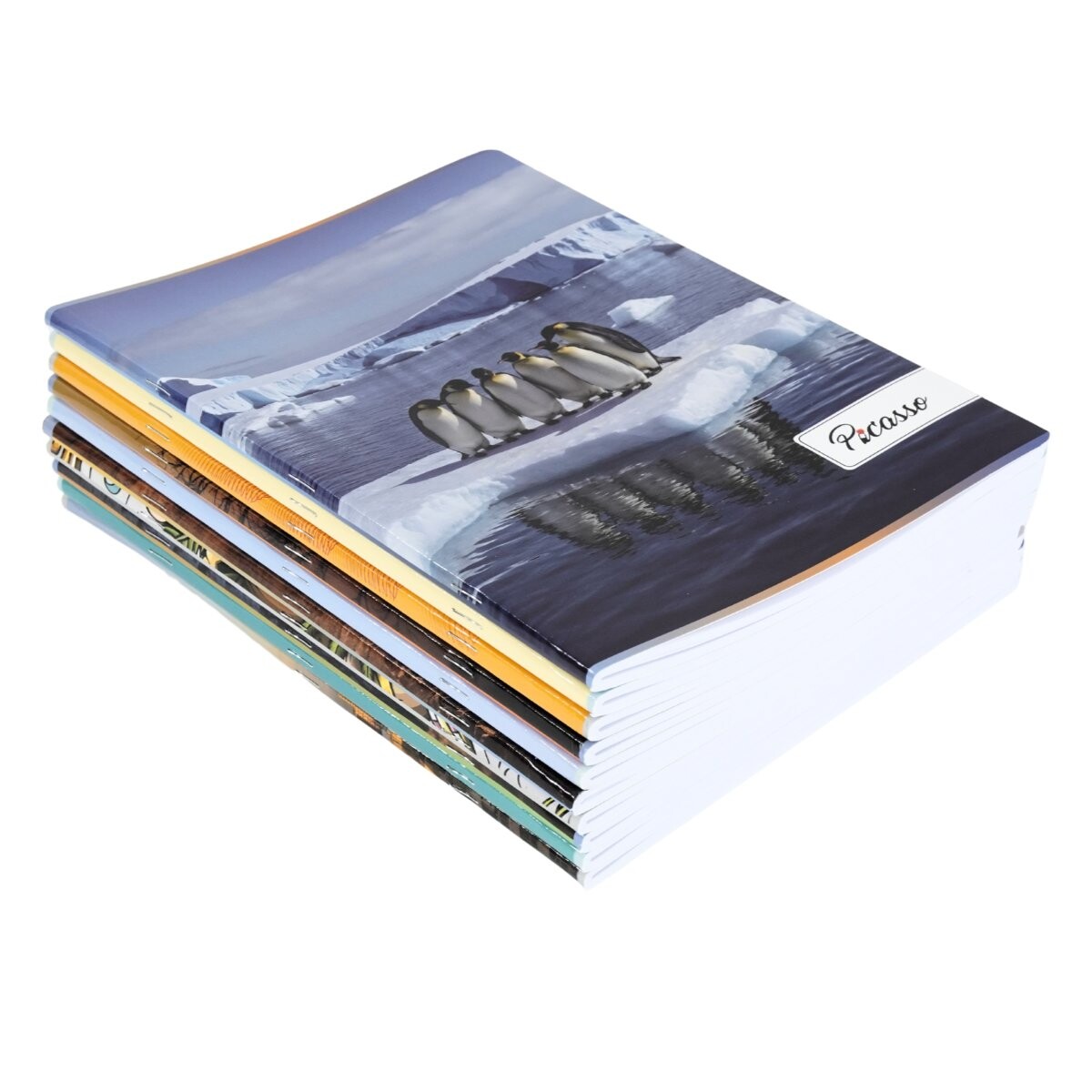 Pack de 10 cuadernolas Picasso engrampadas flexibles 