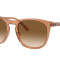 Rayban 2210 Marron Traslucido