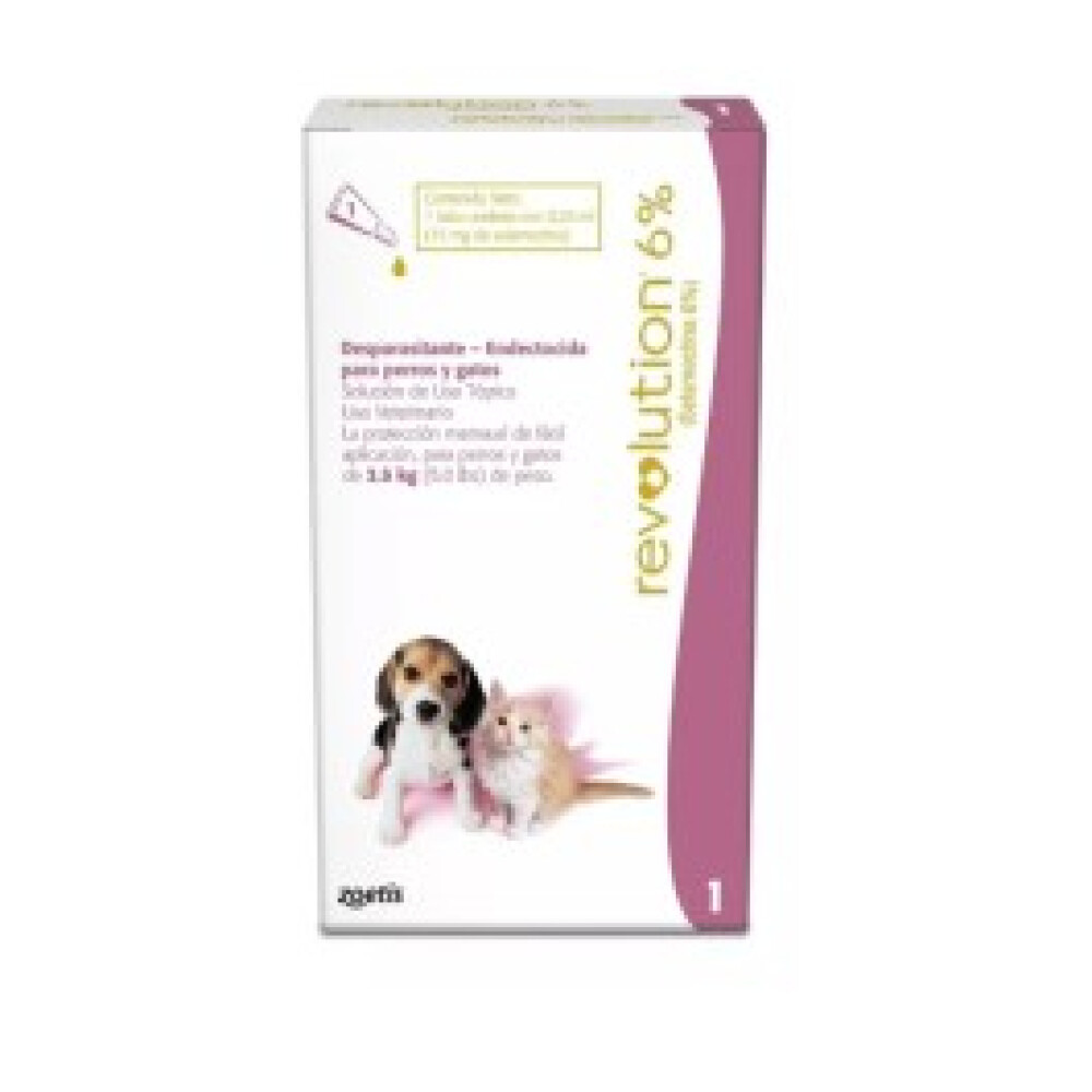 REVOLUTION CACHORRO REVOLUTION CACHORRO