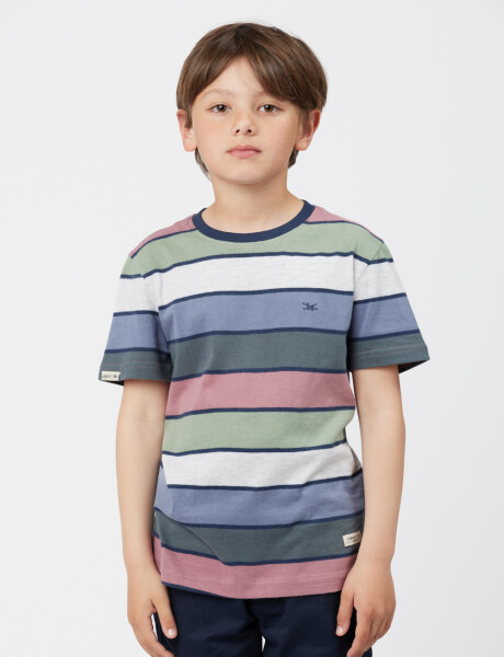REMERA RAYADA Verde