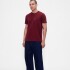 INTL - F SS PKT T LOGO RED DELICIOUS 2