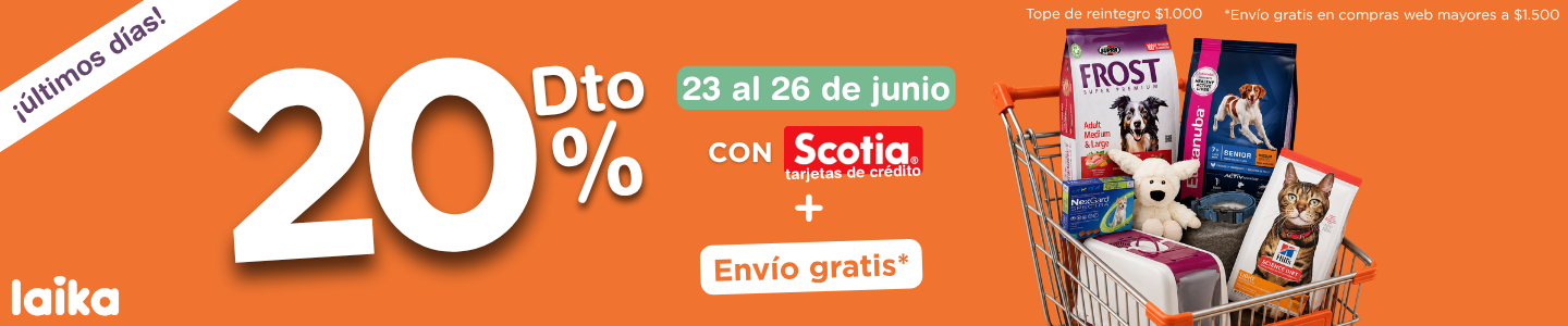 20% OFF SCOTIA - JUNIO
