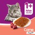 WHISKAS EN SALSA SOUFFLE CARNE ALIMENTO HUMEDO 85 GRS