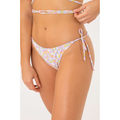 Tanga colaless ostia est Rose micro flower