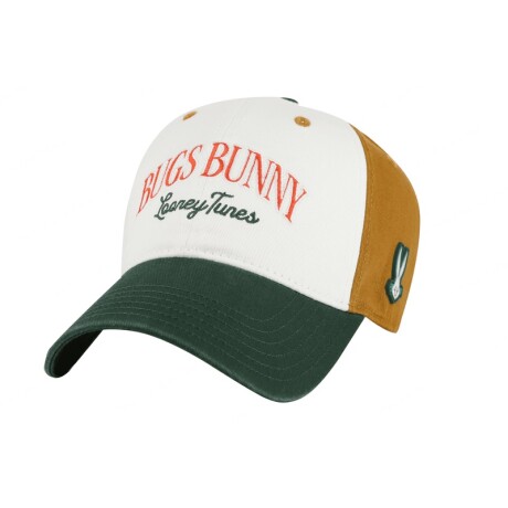 Gorro Looney Tunes multicolor
