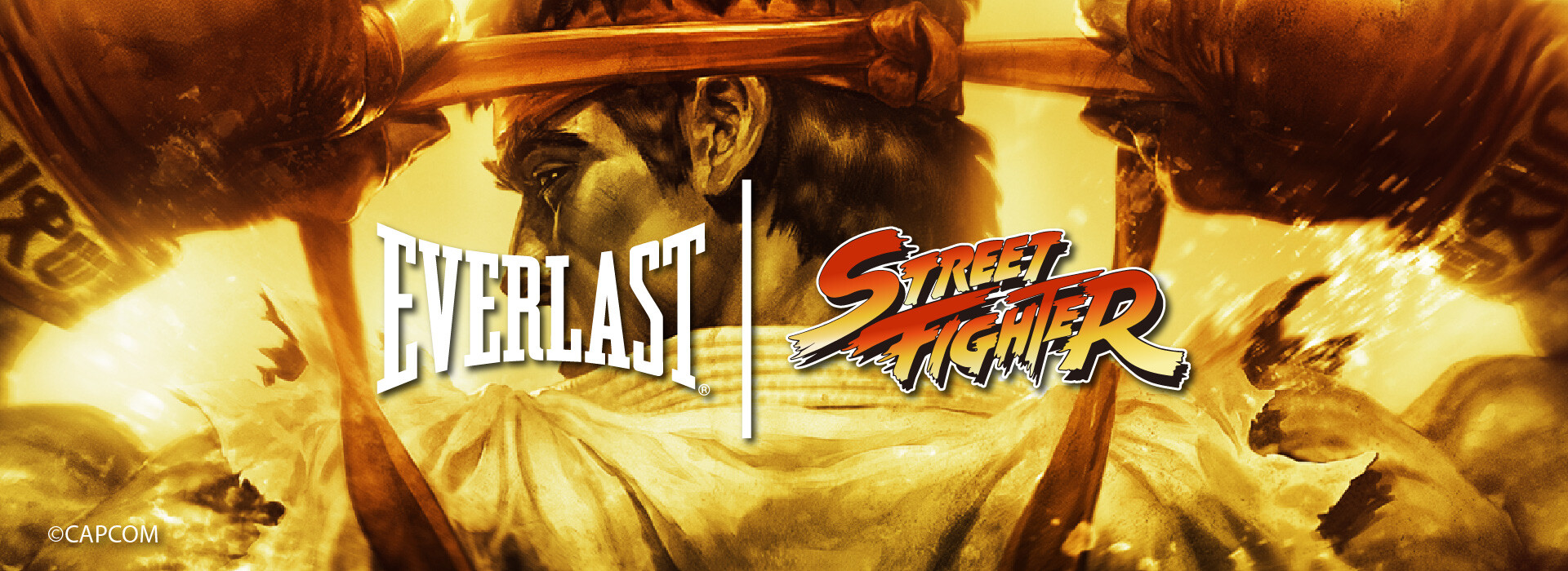 EVERLAST STREET FIGHTER