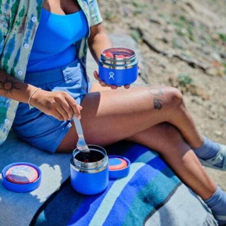 Hydro Flask para alimentos aislados 12 Oz Negro