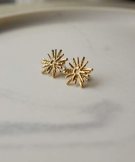 CARAVANAS ESTELAR GOLD