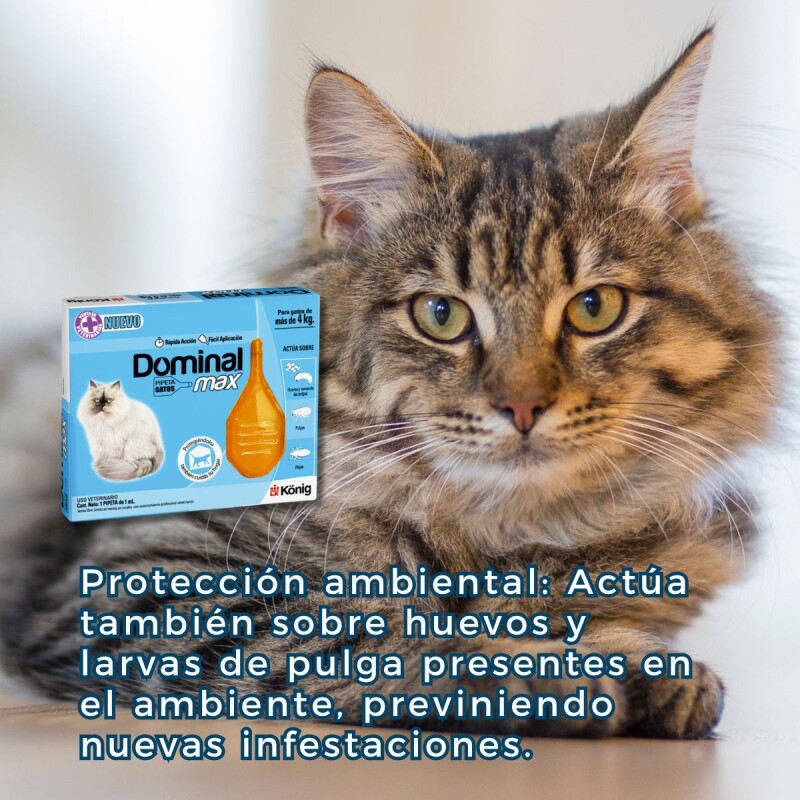 PIPETA ANTIPULGAS Y ANTIGARRAPATAS DOMINAL MAX GATOS + 4KG PIPETA ANTIPULGAS Y ANTIGARRAPATAS DOMINAL MAX GATOS + 4KG