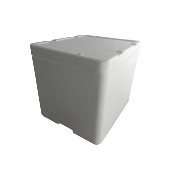 HELADERA ESPUMA 54X49X38.5 - 67 LTS. BLANCO