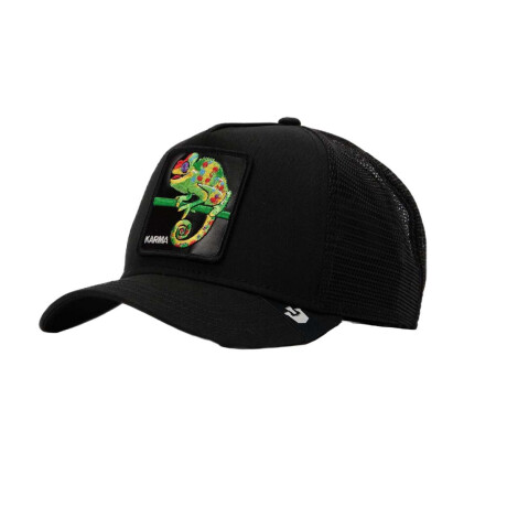Gorro Cap Goorin The Karma Chameleon