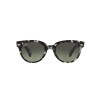 Ray Ban Rb2199 Orion 1333/71