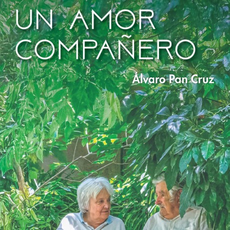 UN AMOR COMPAÑERO UN AMOR COMPAÑERO