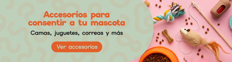 Accesorios
