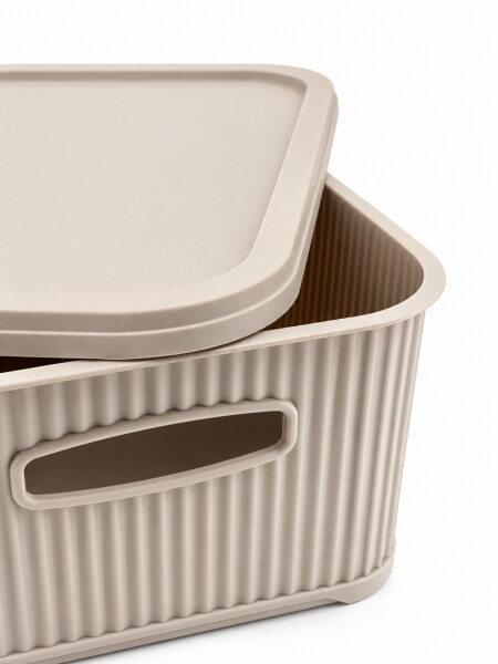 CAJA ORGANIZADORA C/ TAPA BEIGE