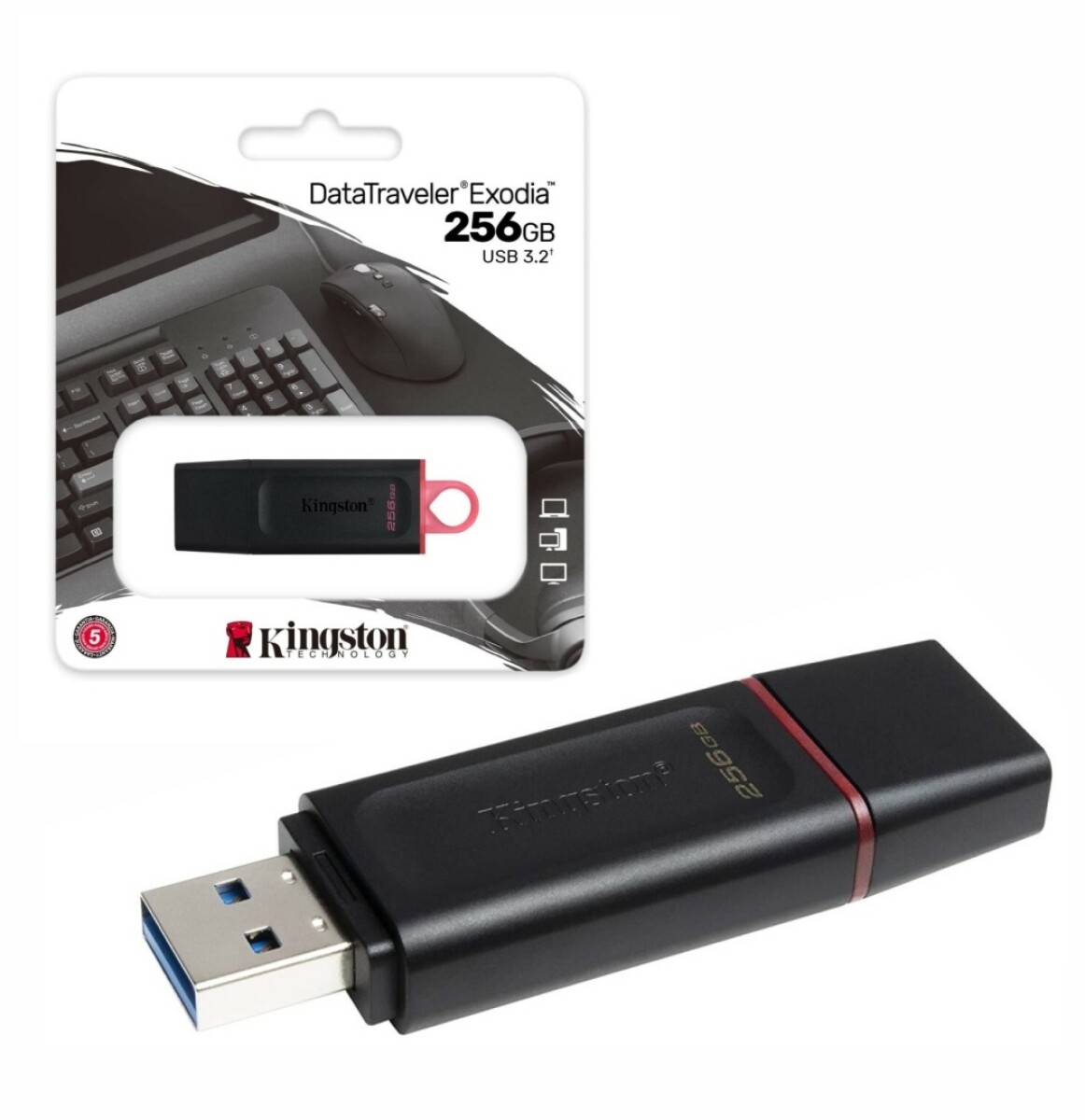 Pendrive Kingston Dtx 256GB USB 3.2 - 001 