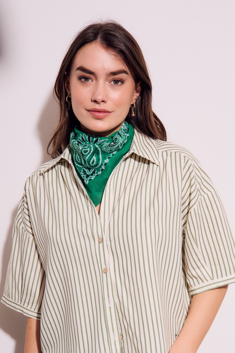 Camisa A Rayas Nácar